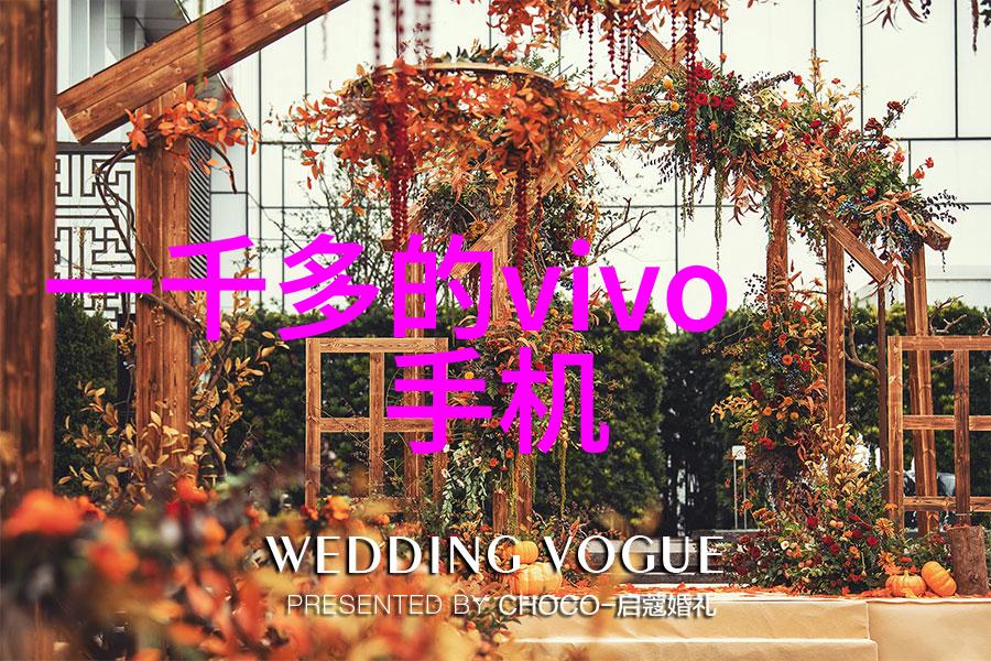 三花智能股票面临的最大风险是什么以及应对策略是什么