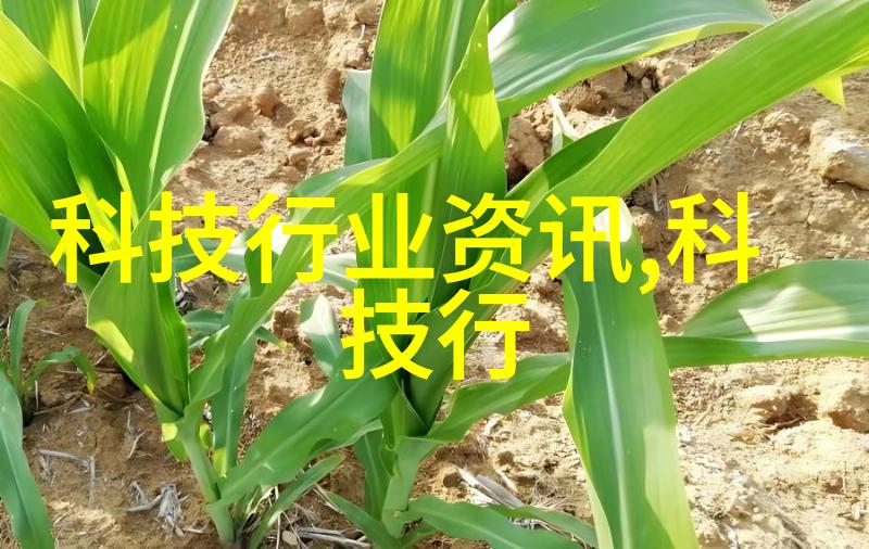 家居生活我是怎么从实木家具上学到爱家的