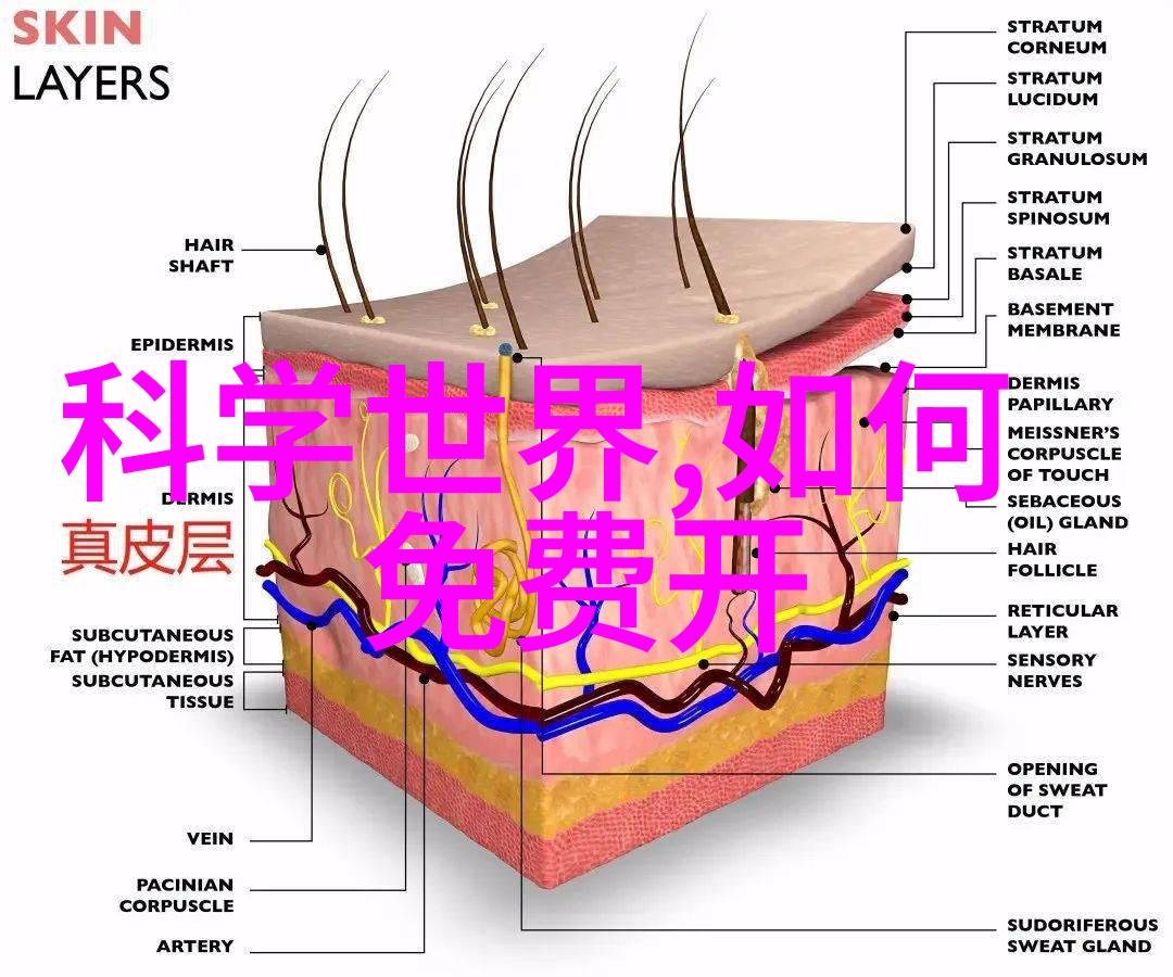 气动调节阀精准控制压力稳定运行系统的关键组件