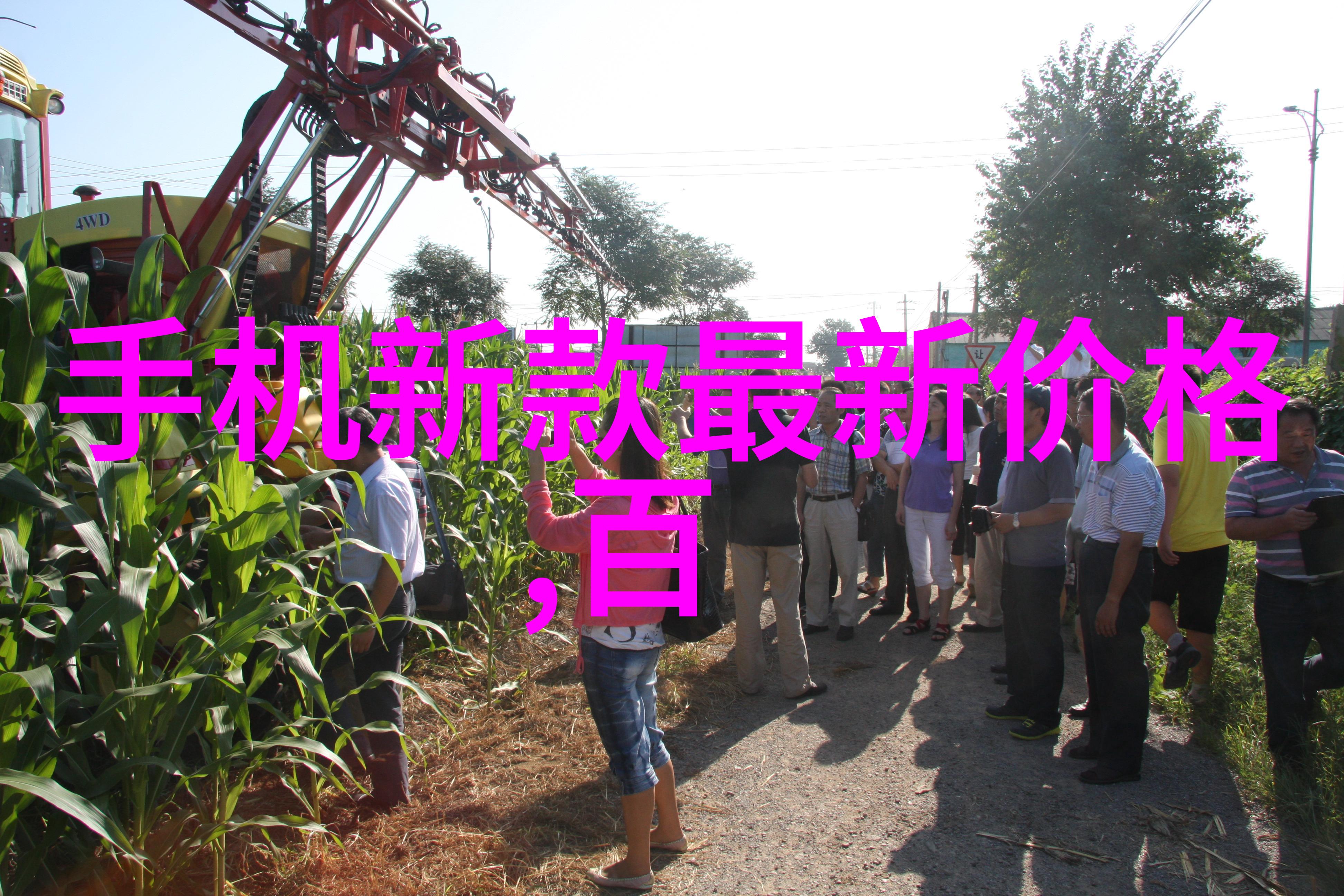 关于请求拨款的请示资金申请指南与流程说明