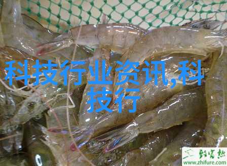 沿海教育的航道江苏海事职业技术学院的成长与发展