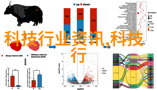 降膜蒸发器安装和维护需要遵循哪些步骤和建议