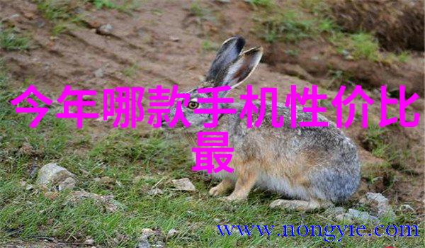 开关电源芯片功率管理的关键技术与创新应用
