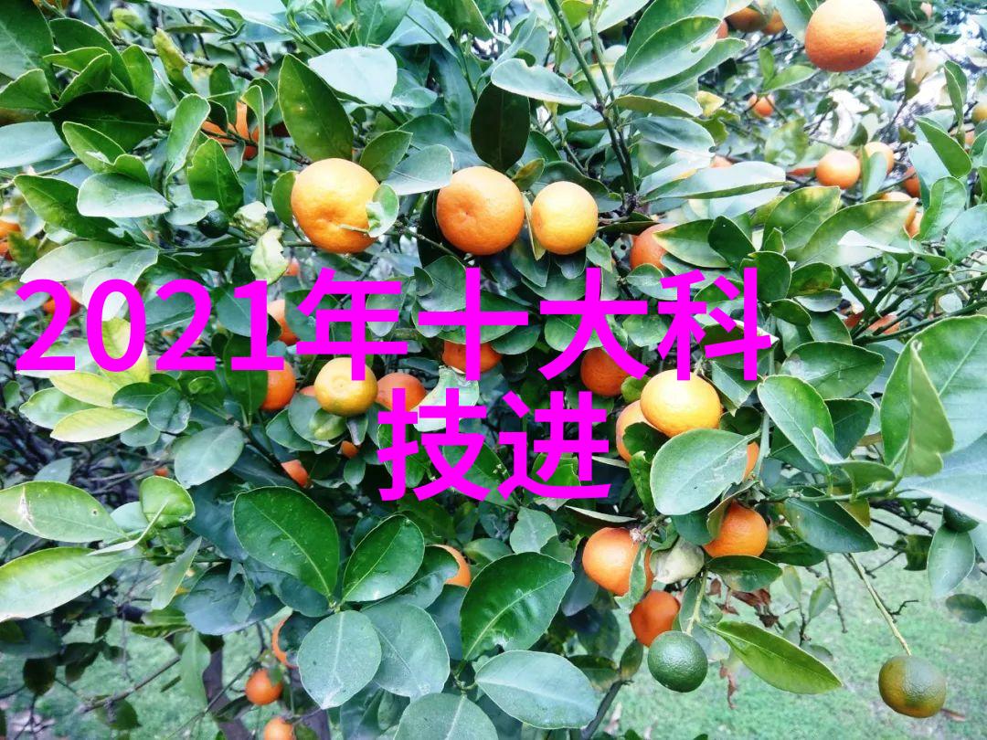 东港股份海岸线上的企业霓虹