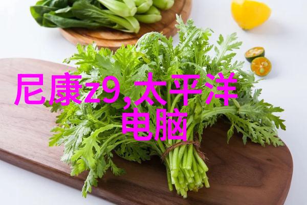 工程项目管理的规范性与实效性提升策略研究