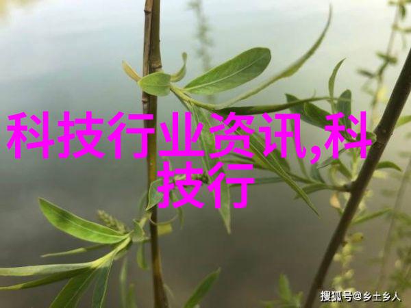 化学助剂-催化剂的力量揭秘促进剂如何影响化学反应
