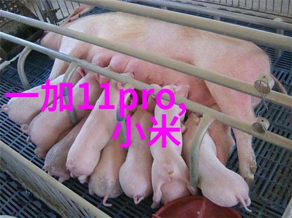 水质分析仪器精确检测保障清洁饮用水的价格透明
