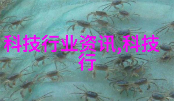 在家创业梦如何轻松办起小型加工厂