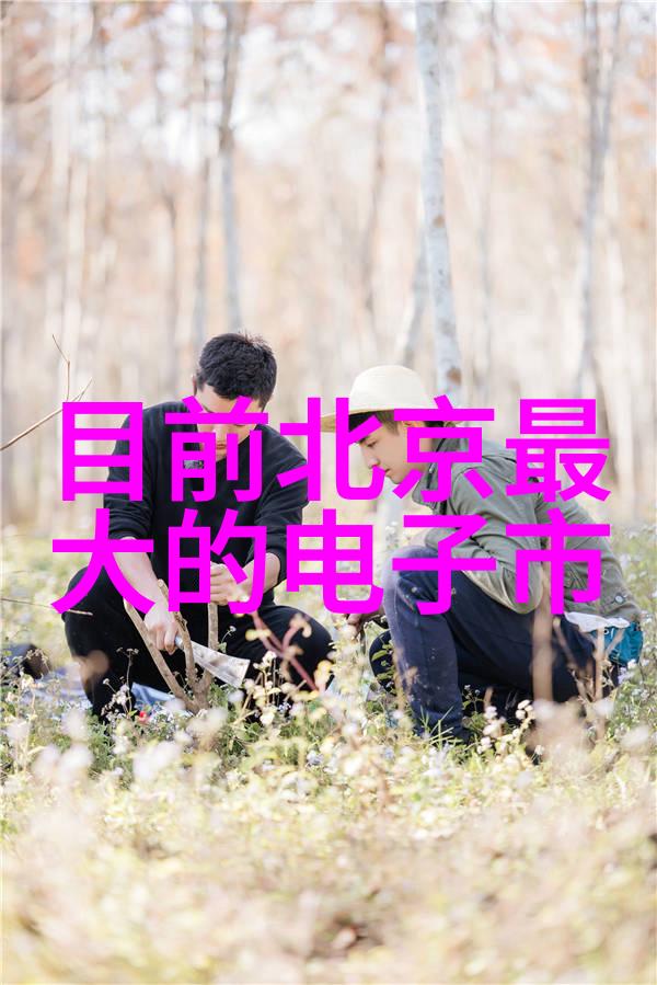环境监测与控制高性能化工温湿度仪器的角色