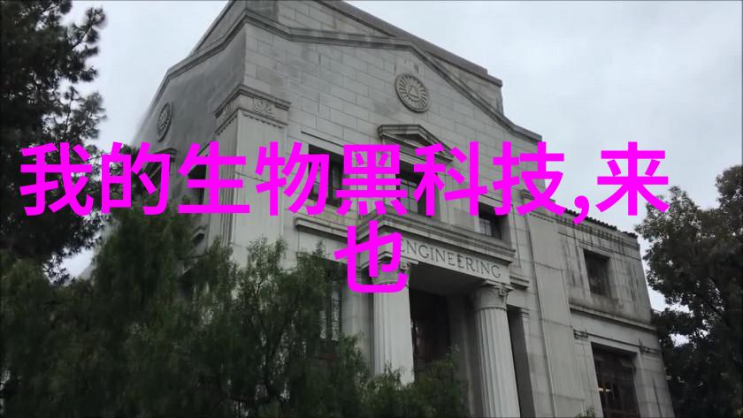 冰封时光机器的沉默守护者