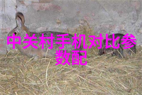 高效药物制剂的关键新型搅拌罐技术革新