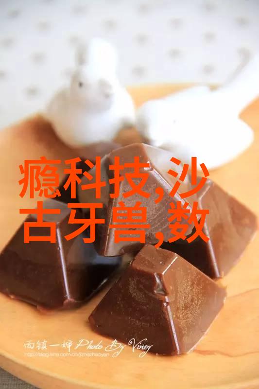 防渗透技巧揭秘一级与二级保护的差异