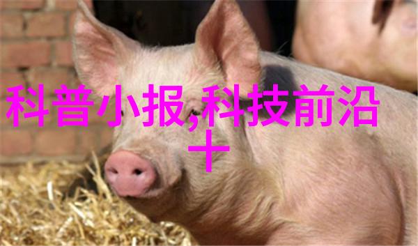 清澈水源下的金钱漩涡