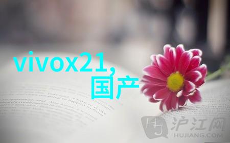 燃气蒸汽发生器云端的精灵工厂