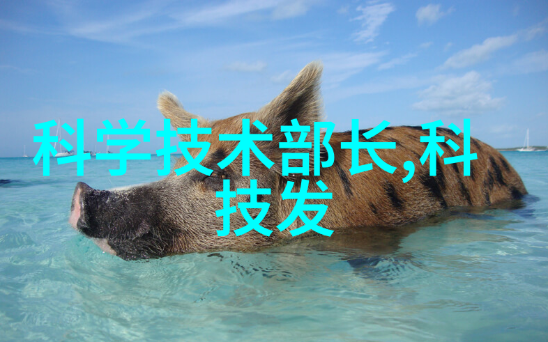 检测自来水水质多少算合格-确保清洁源探究自来水质量标准的关键