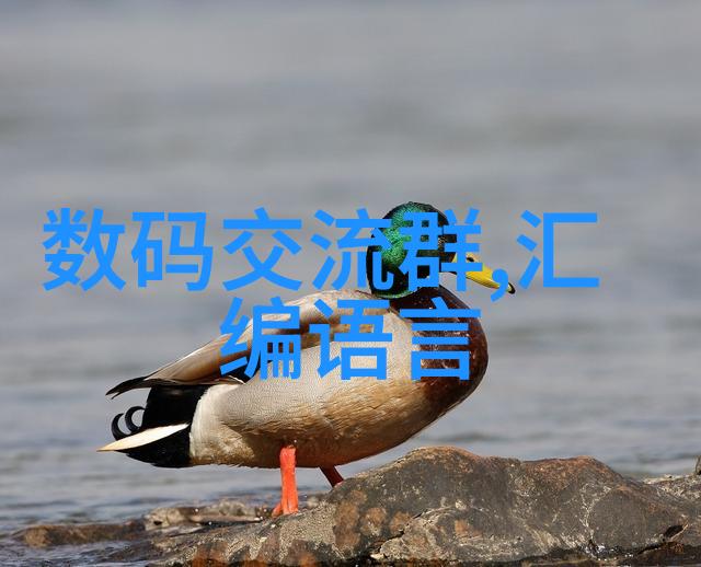清新源自地底井水过滤装置的巧妙设计与实用应用