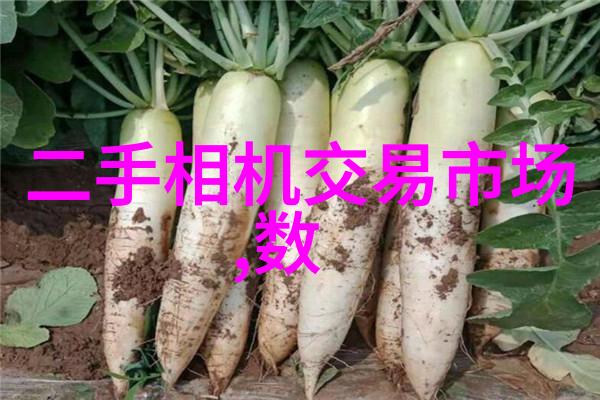 主题我觉得哪些人不太适合学市场营销