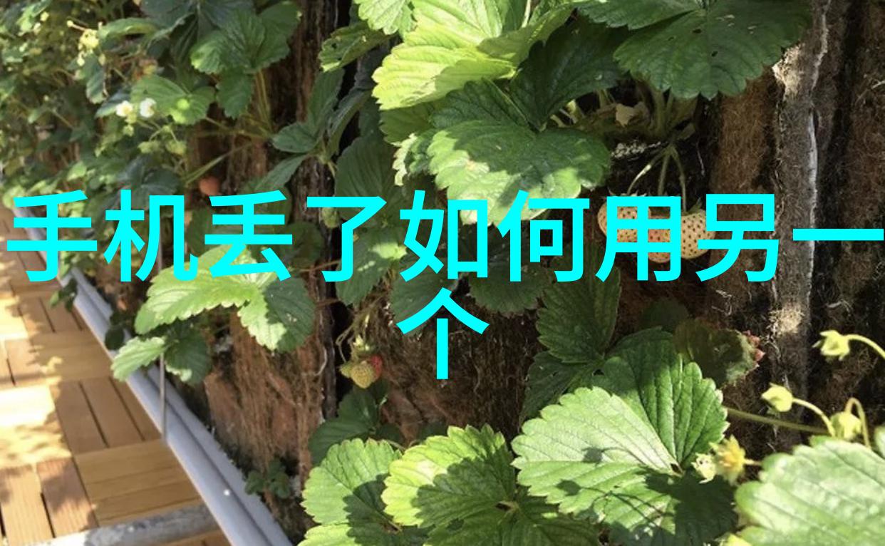 化学实验室设备探秘化工的精灵们