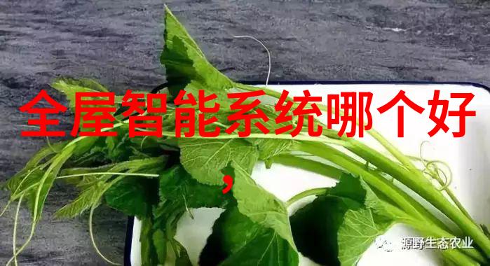 国家水质PH测定标准的演进与完善