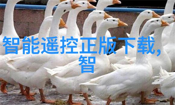 乱堆填料与规整填料特性比较研究
