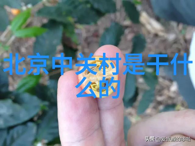 油水分离设备确保综合体运行的稳定与高效