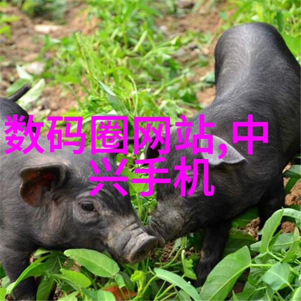 五金件-铜锤与螺丝刀五金工具的故事