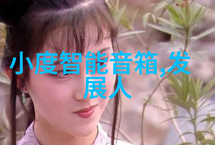 硬邦邦的桌面作业的伴侣