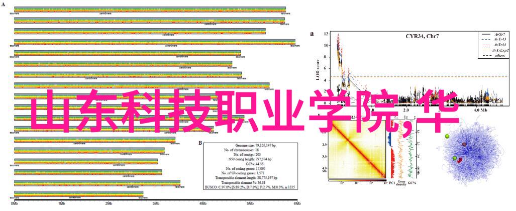 从理论到实践实施企业人才测评项目的步骤