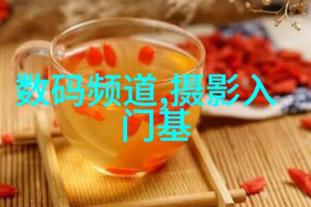 主题我在实验室的电渗析设备之旅从初学者到小专家