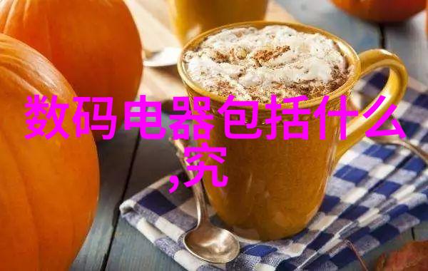 学生会在校期间参与哪些实践活动和社会服务项目