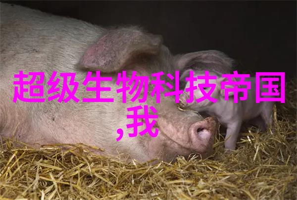 物质的魔力微观世界中的吸引者