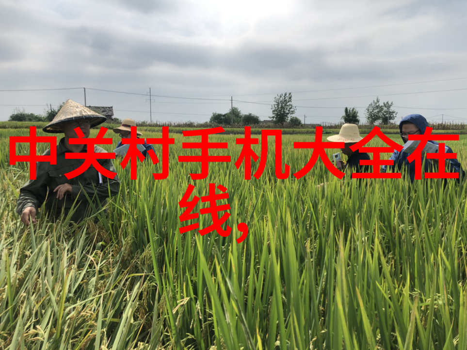 纲手受孕NARUTOTSUNADE我是如何在无意中成为齐天大圣孙悟空的女儿的