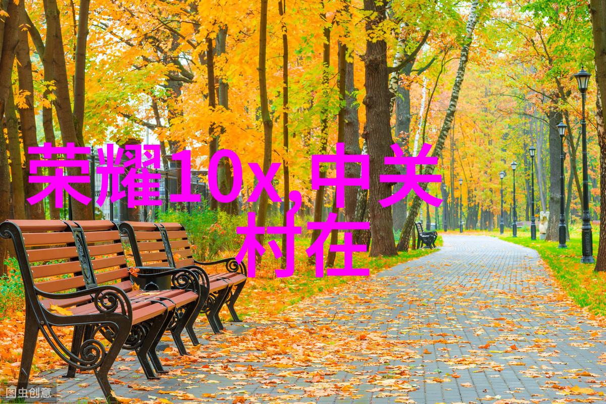 小雏菊花语我与那片充满笑声的田野