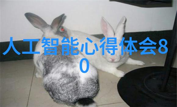 化学守护化工设备安全管理之道