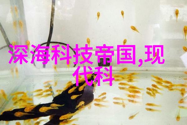 食品灭菌设备技术公司-高效杀菌新纪元深度探究食品产业中先进的灭菌设备技术与应用