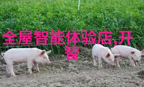 7. 什么是pp冷却塔中常用的高效能轻质空气过滤材料呢为什么要选择它们作为热交换媒介
