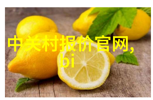 通畅无阻一探下水道清洁的秘诀与技巧