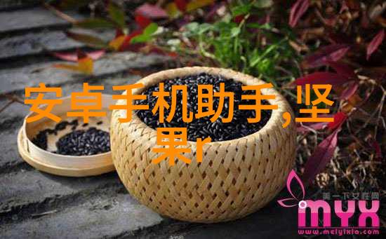 Nova光芒下的秘密使命