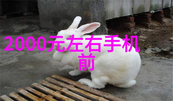 钢管消防涂塑生产厂家-守护城市安全钢管消防涂塑行业的发展与挑战