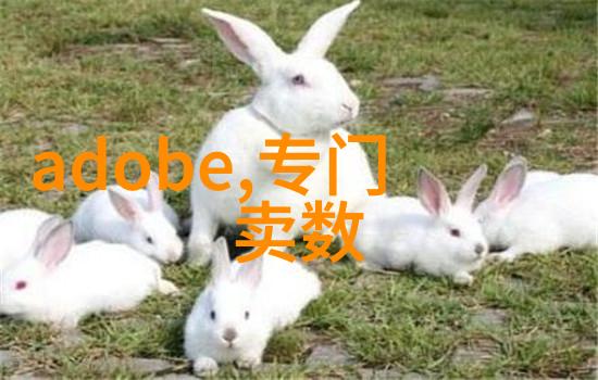 我是分散机厂家告诉你这些秘密