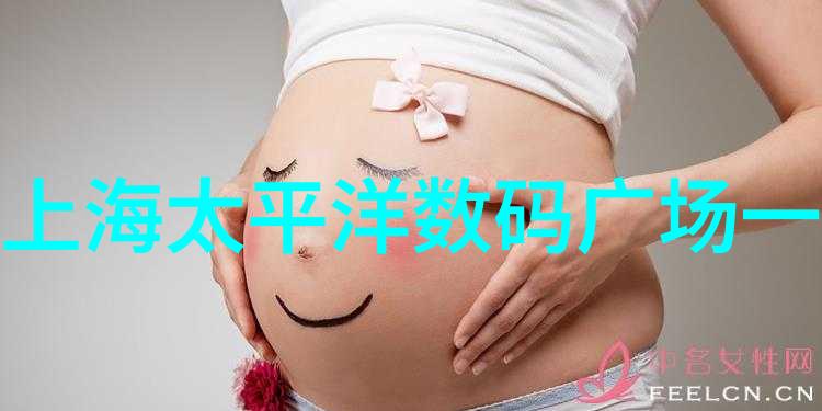 江苏财经职业技术学院我的金子般的财富之路
