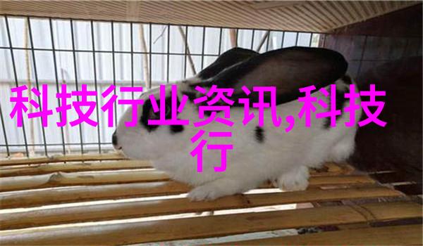 城市之脉水源的钢铁心脏