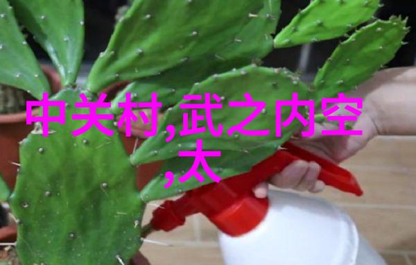 如何正确调整水分测定仪的精度与稳定性