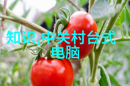 冷库设备生产厂家 - 超低温储存技术与创新冷库设备生产厂家的研发进展