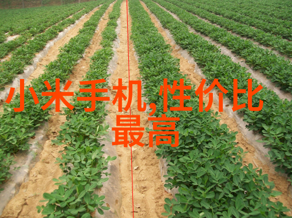 反应釜温度计长度我怎么选对了