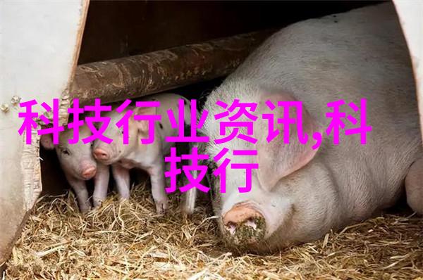施工项目风险评估施工员应具备哪些能力