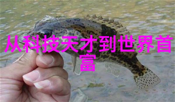 家庭餐桌的不适当姿态隐喻与现实之间的界限