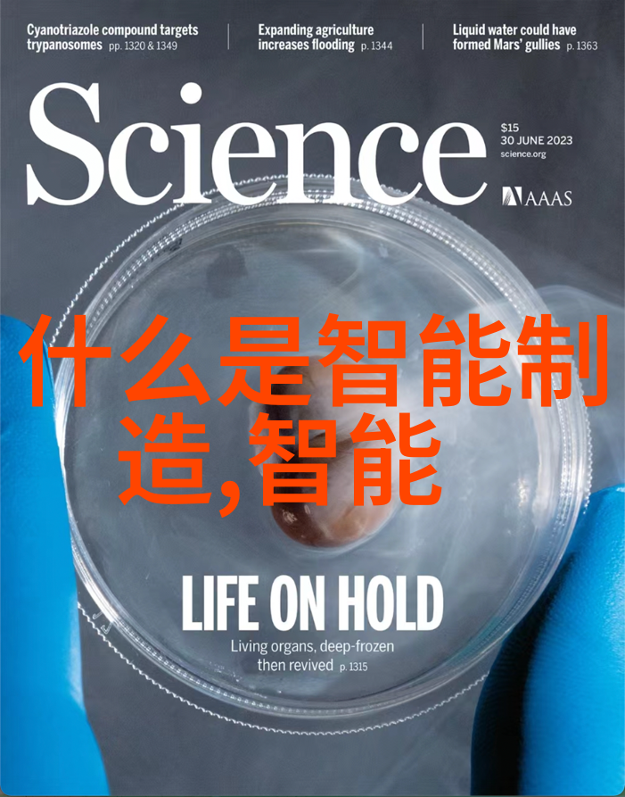 土木工程-规整填料的作用稳固基础保障结构安全