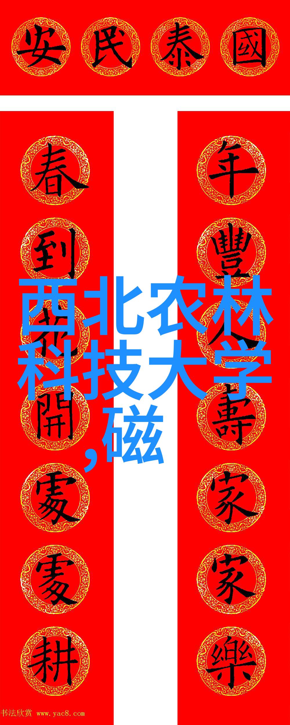 宁波城市职业技术学院培育新时代技能型人才的摇篮
