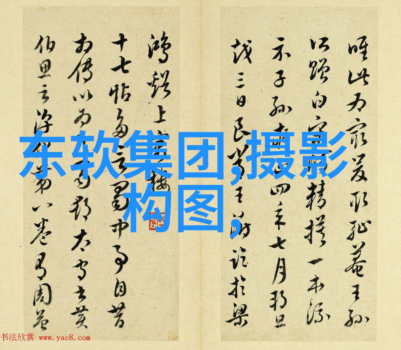 清澈与浑浊水质检测仪的双重指标